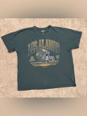 Hollister Teal Crewneck Tee with Gold and White Graphic